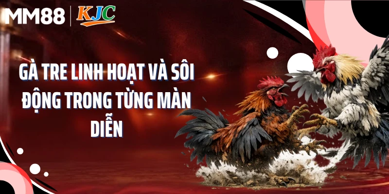 Gà tre linh hoạt và sôi động trong từng màn diễn